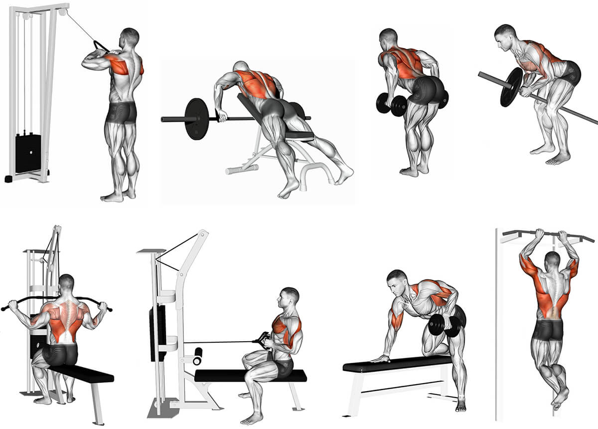 Техника силовые упражнения. Упражнения для накачивания мышц спины. Тяга т-грифа в наклоне узким хватом. Тяга штанги к груди на спину.